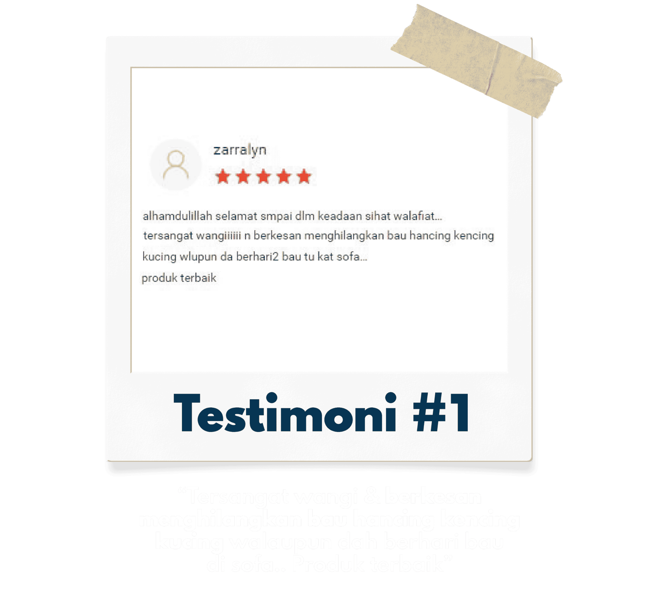 Untitled design - 2025-05-17T124209.757